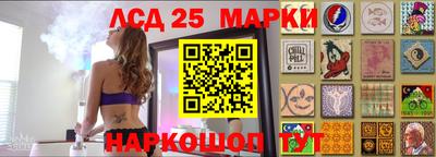 индика Лесосибирск