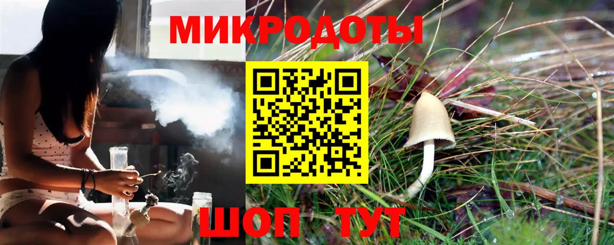 Галлюциногенные грибы прущие грибы Гай