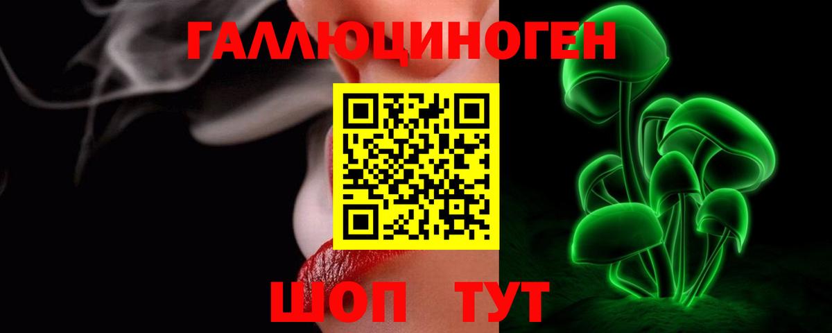 где купить   Псилоцибиновые грибы ЛСД  Гай  Псилоцибиновые грибы MAGIC MUSHROOMS 