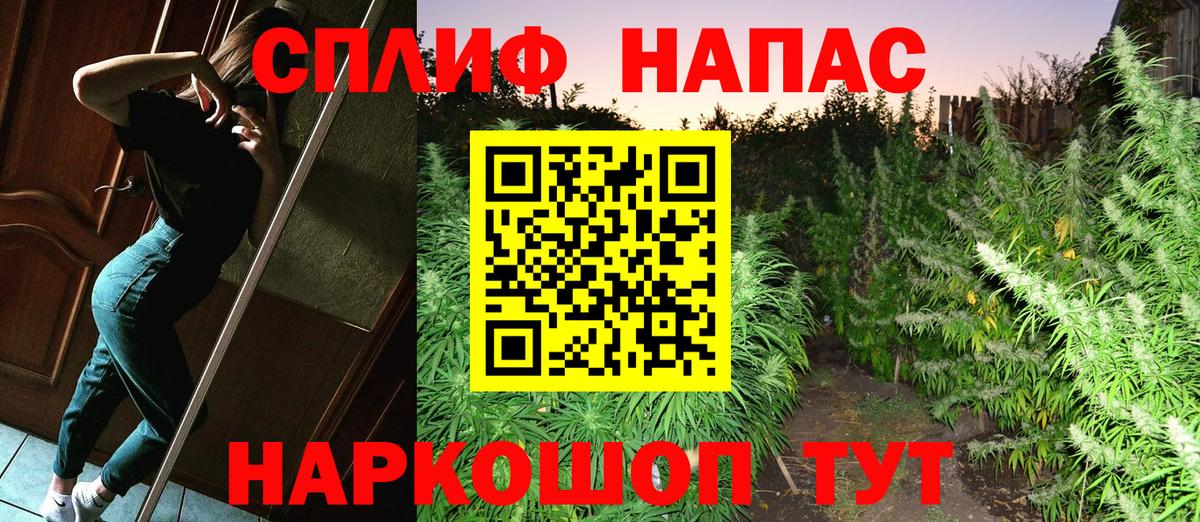 Каннабис Bruce Banner  Канабис Bruce Banner  Вход с VPN  Гай 